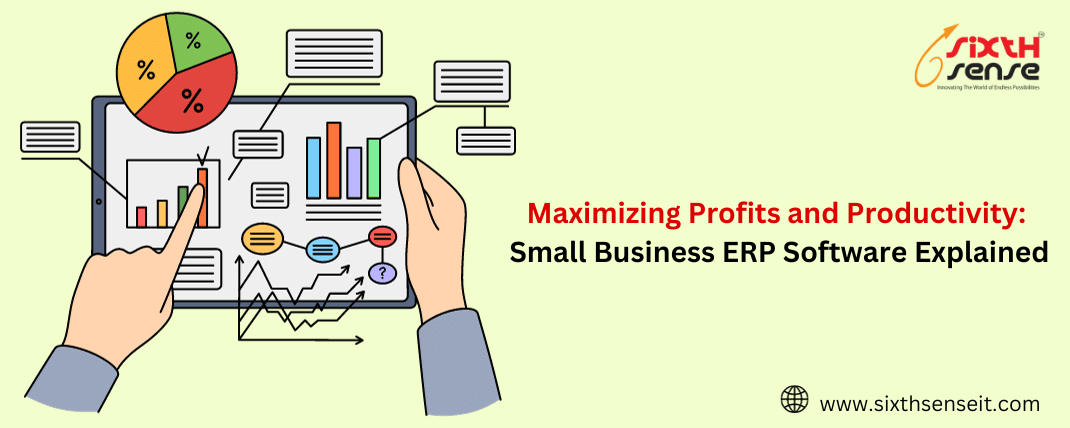 Maximizing Profits and Productivity: Small Business ERP Software Explained